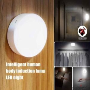 LED Intelligent Induction Lamp