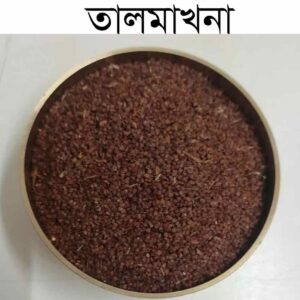 Tal Makhna